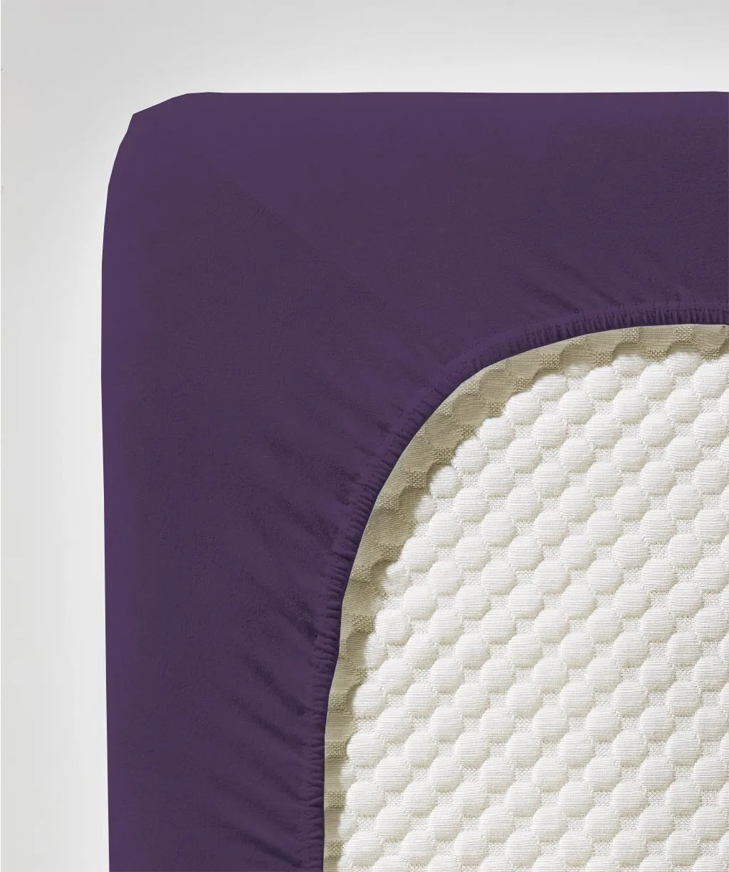 Jenny C Lavendel – Detail