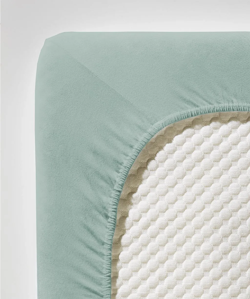 Jenny C Aqua – Detail