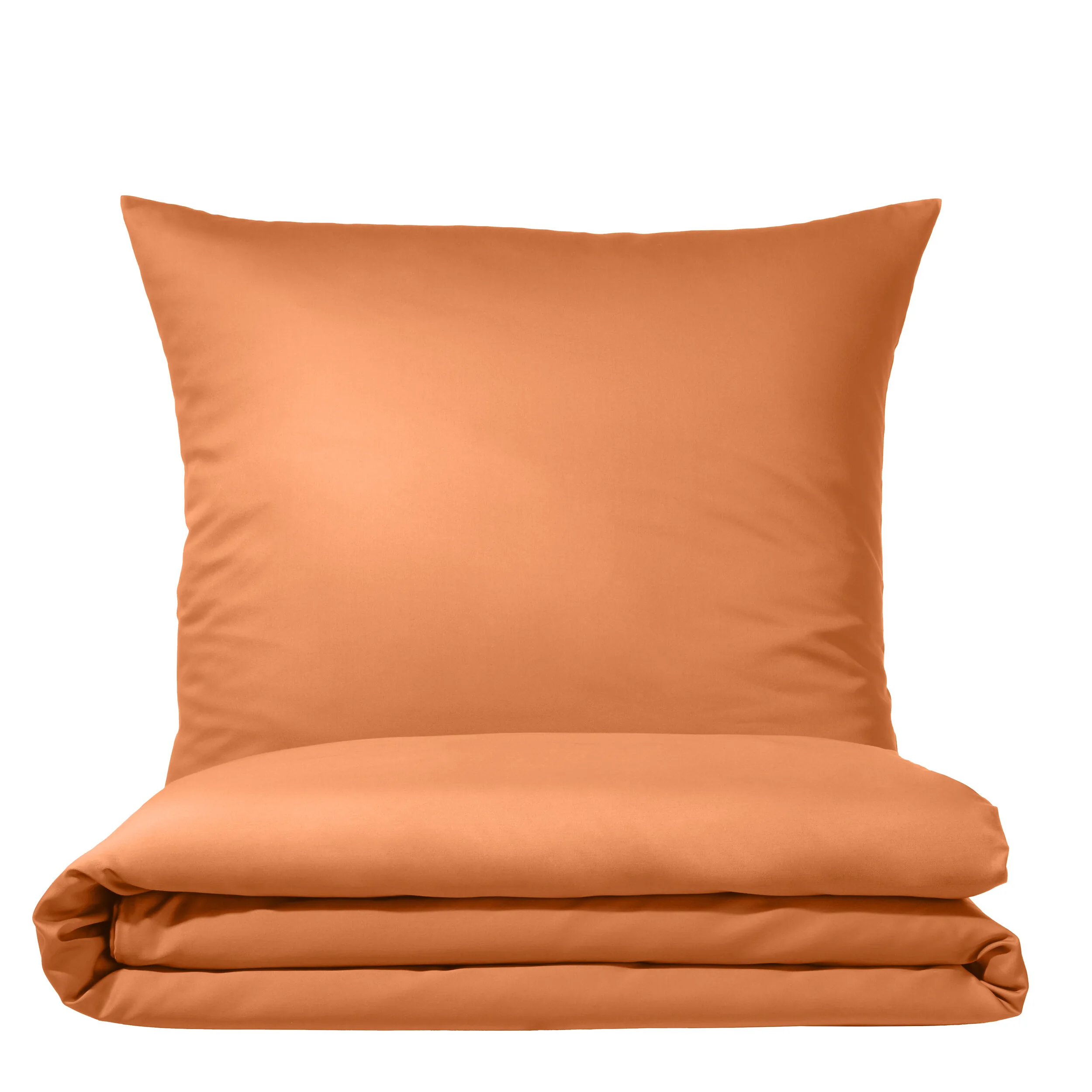 Colours 9100 Terra – Freisteller