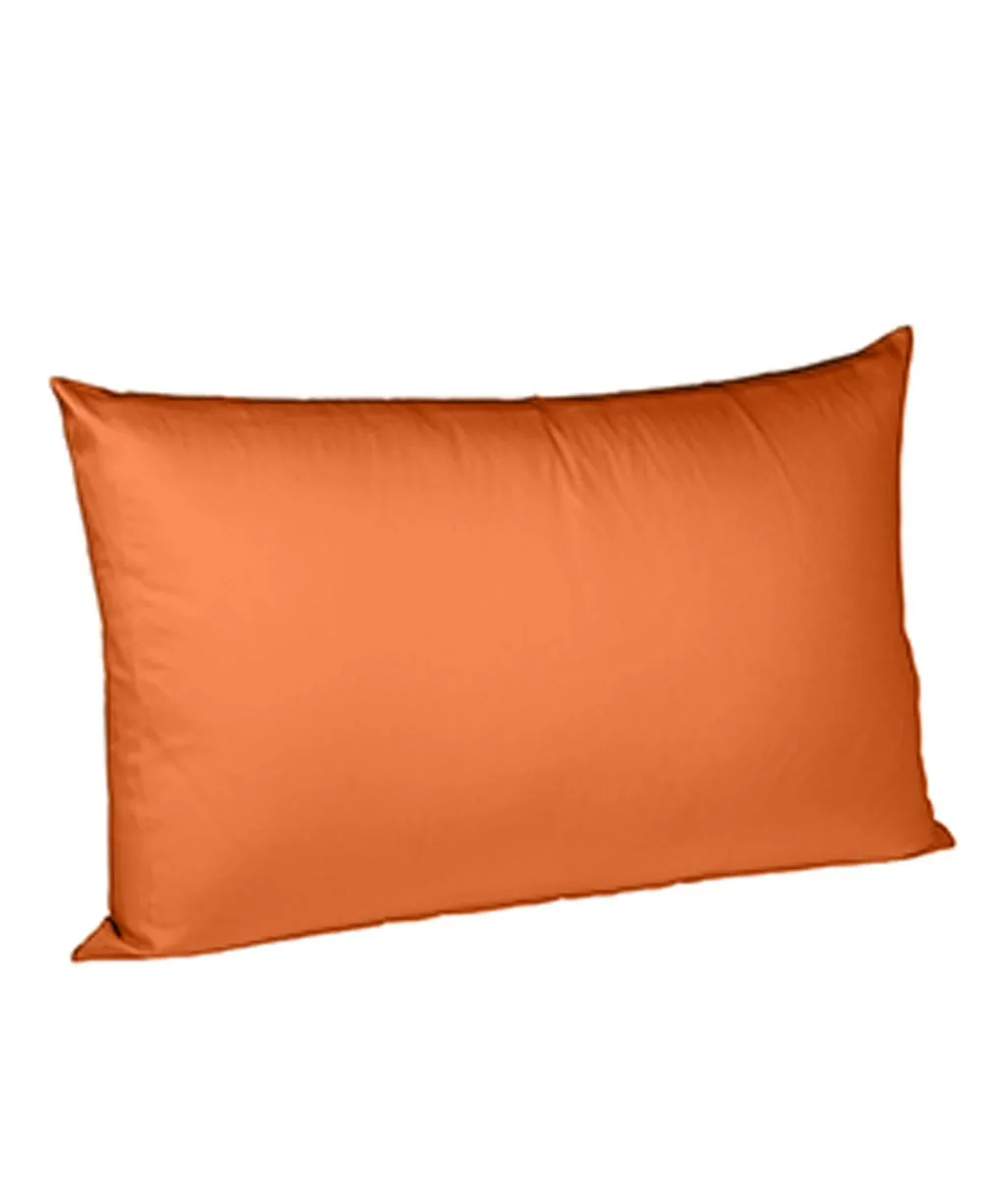 Colours Terra – Freisteller 10