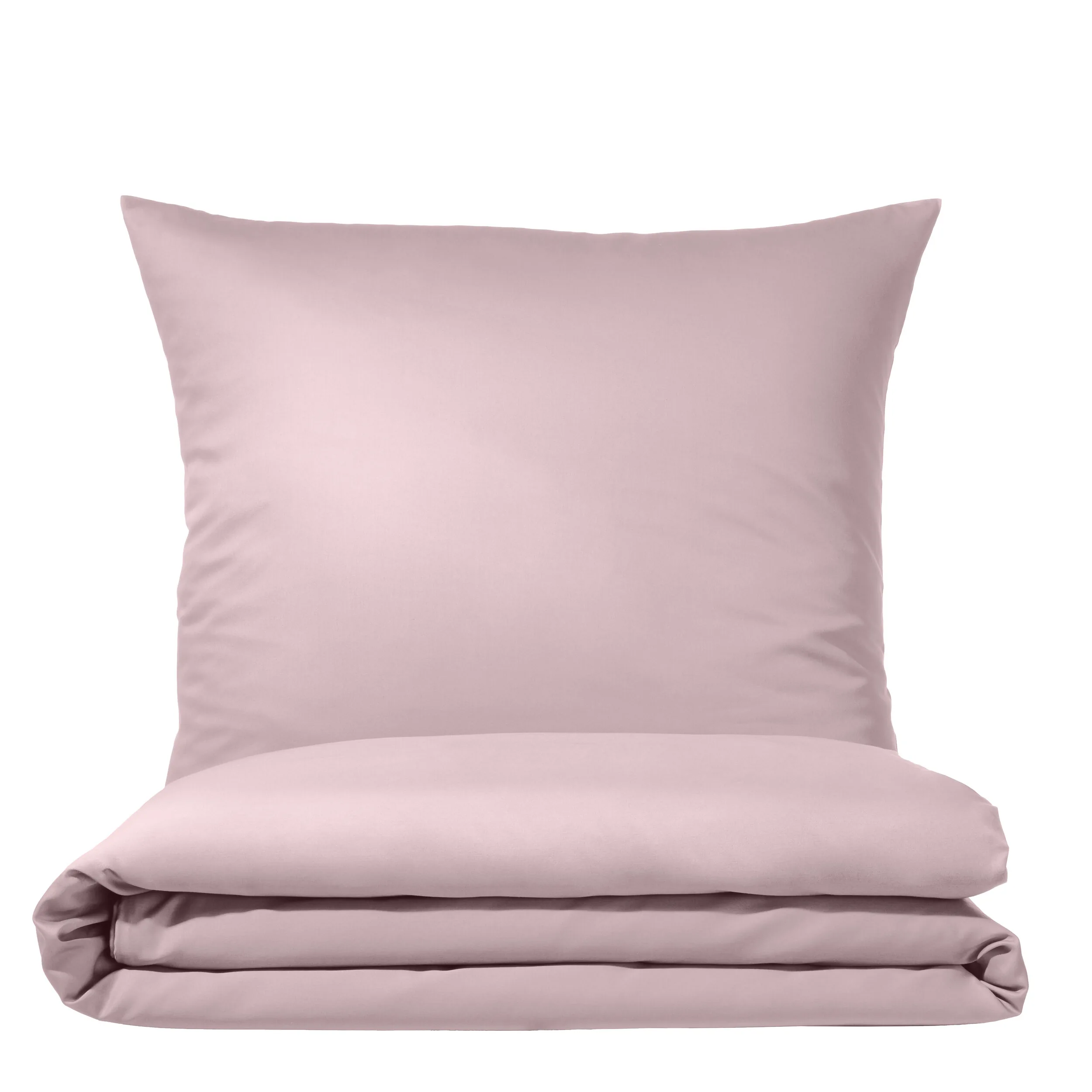 Colours 9100 Rosé – Freisteller