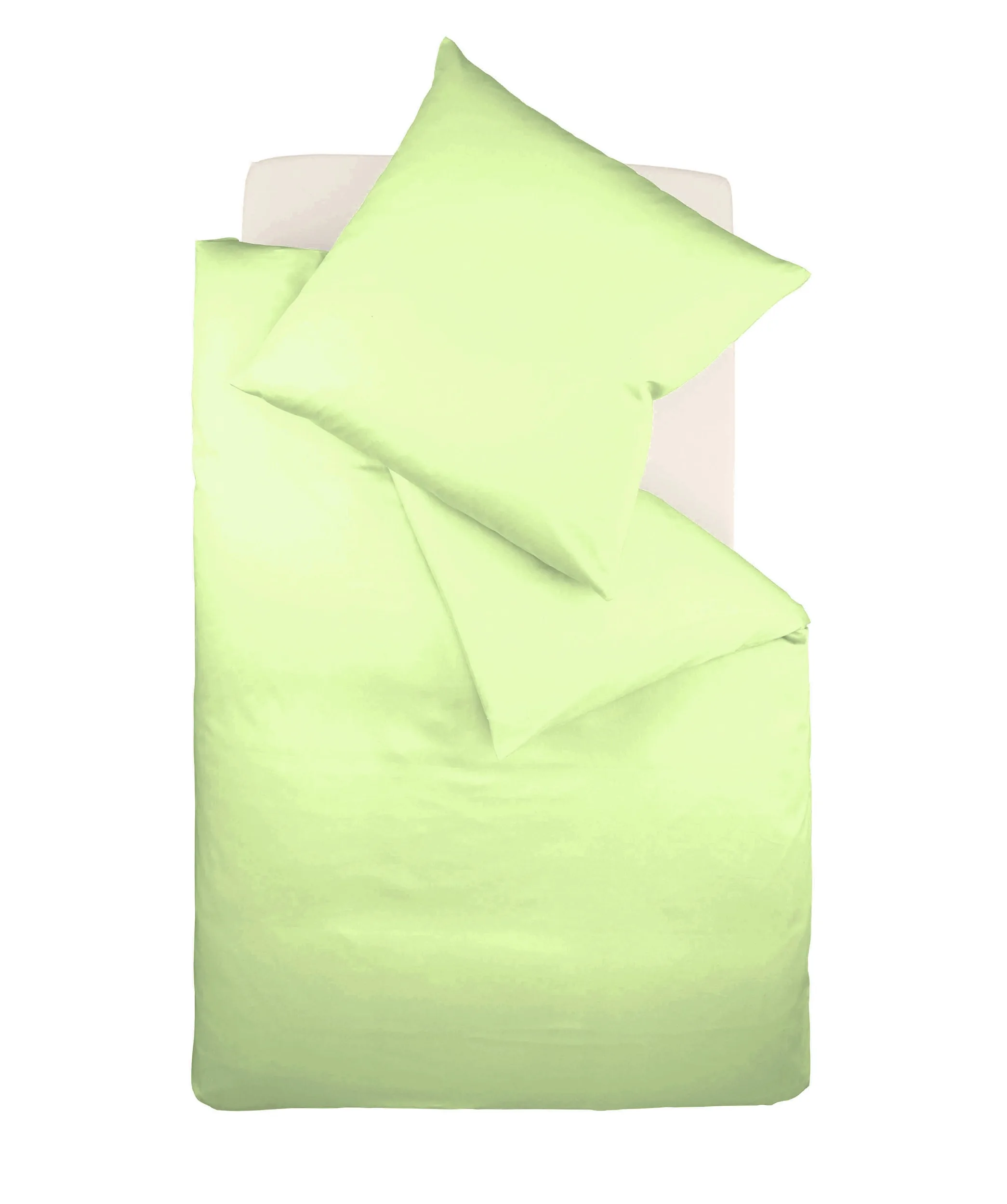 Colours Interlock Jersey Grün – Freisteller