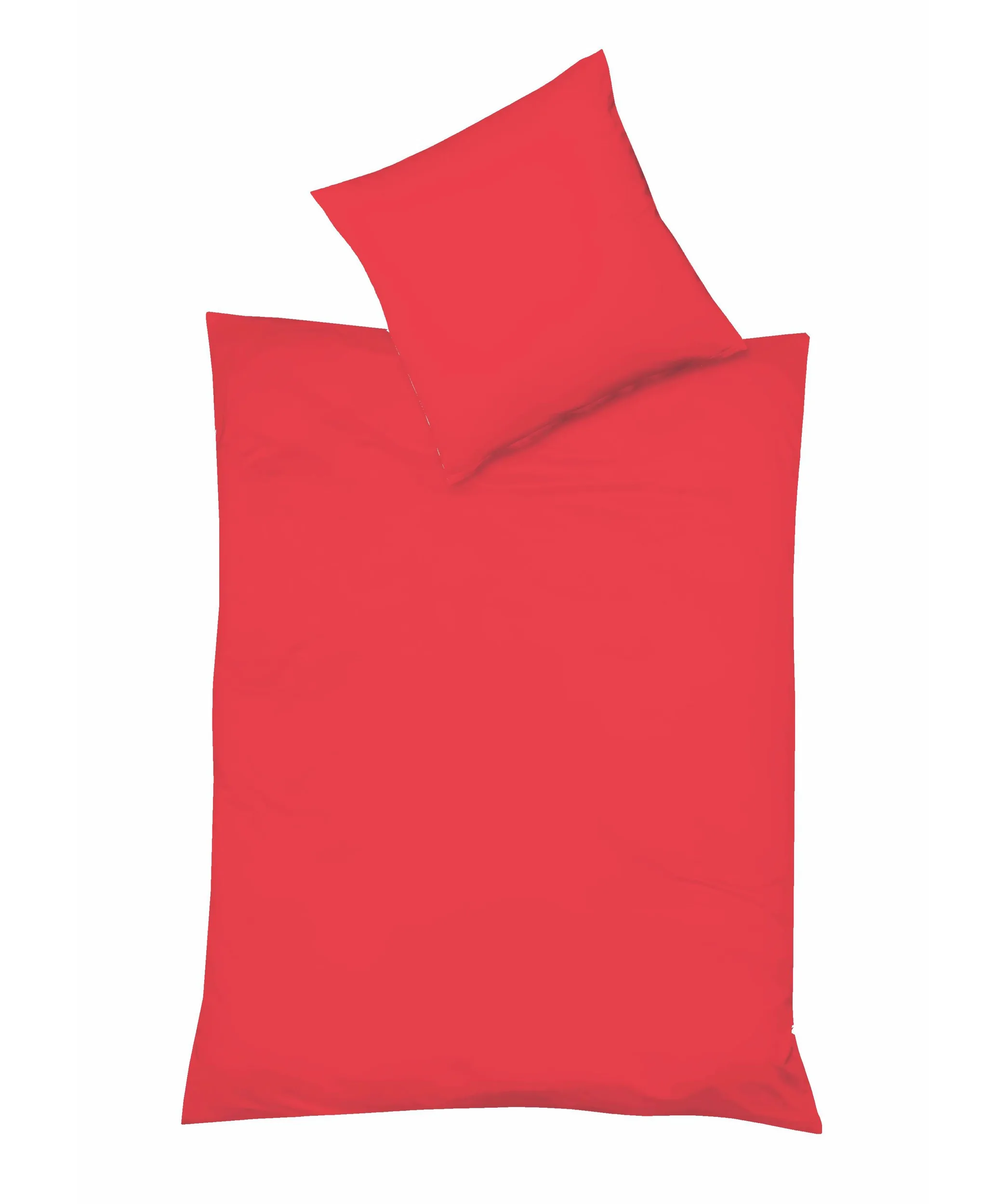 Provence Kirsche – Freisteller