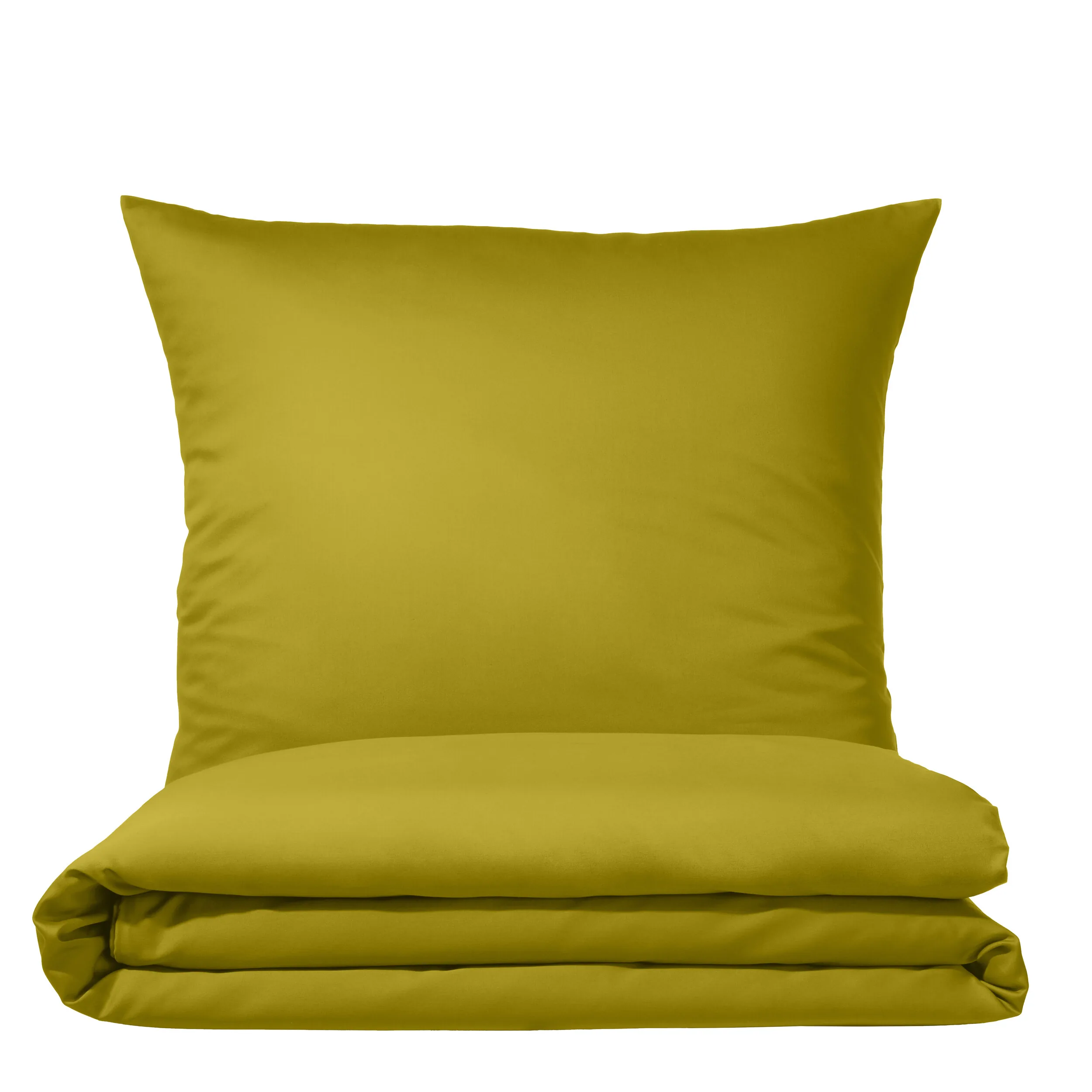 Colours 9100 Oliv – Freisteller