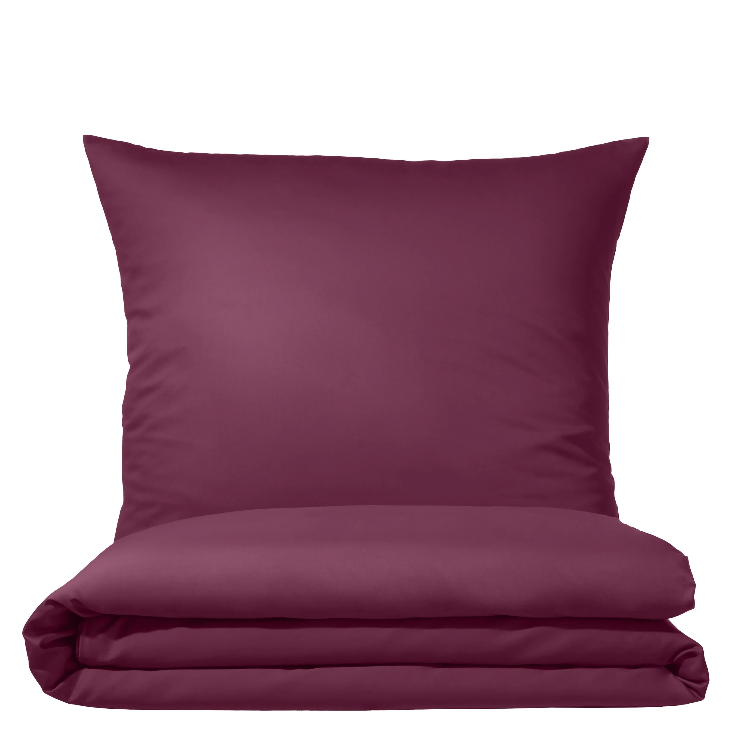 Colours 9100 Pflaume – Freisteller